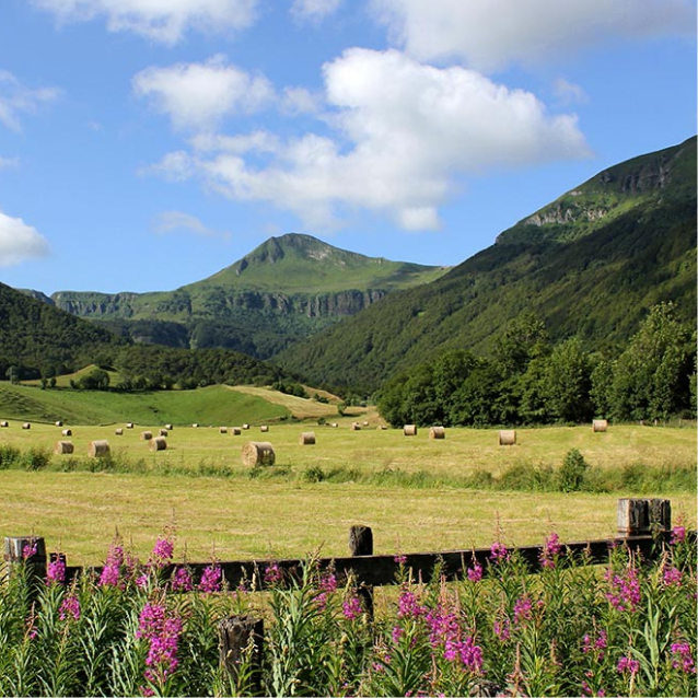 Cantal