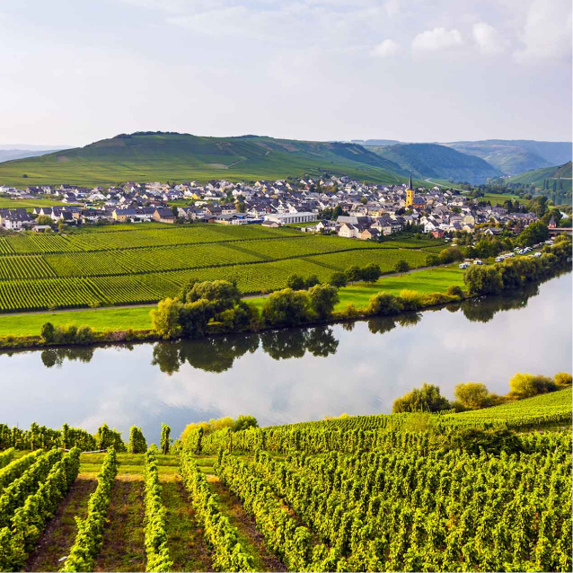 Moselle