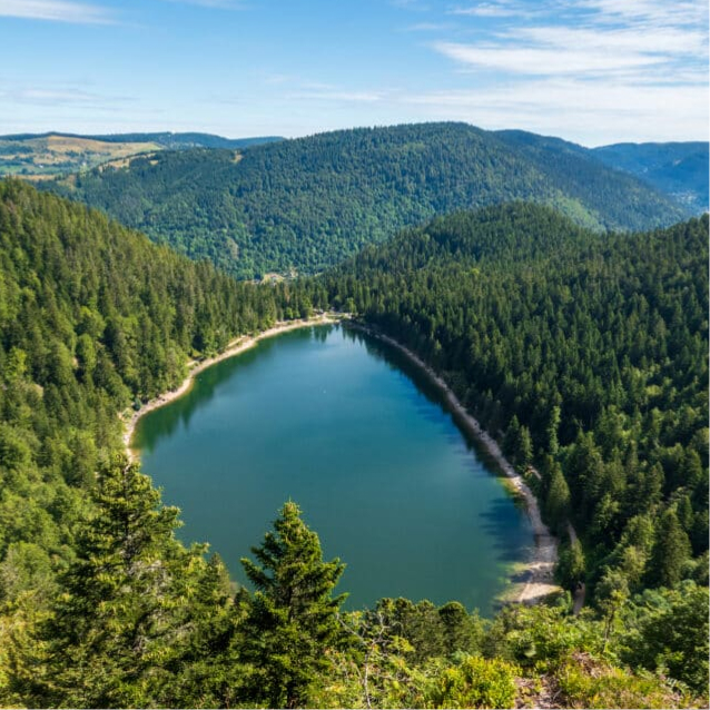 Vosges